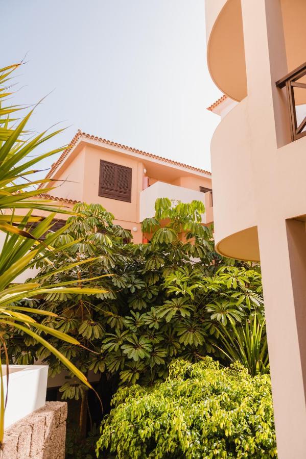 Precioso Apartamento San Miguel de Abona Luaran gambar